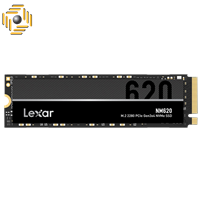 اس اس دی لکسار NM620 M.2 2280 NVMe 1TB