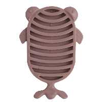 جاصابونی مدل ماهی