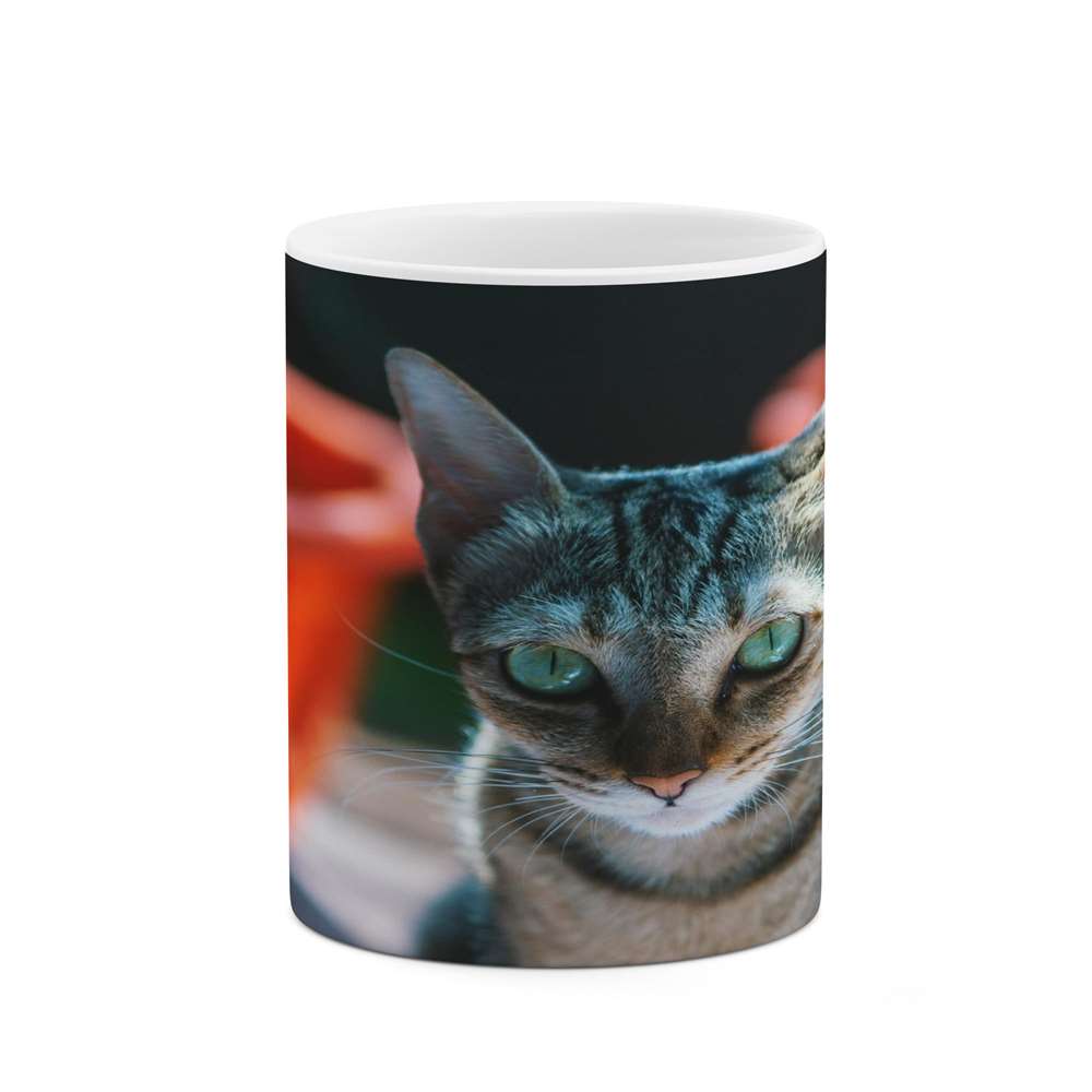 ماگ کاکتی طرح گربه مدل mgs16748