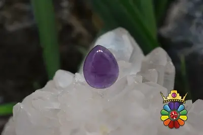 امتیست دامله(کاپوشی)