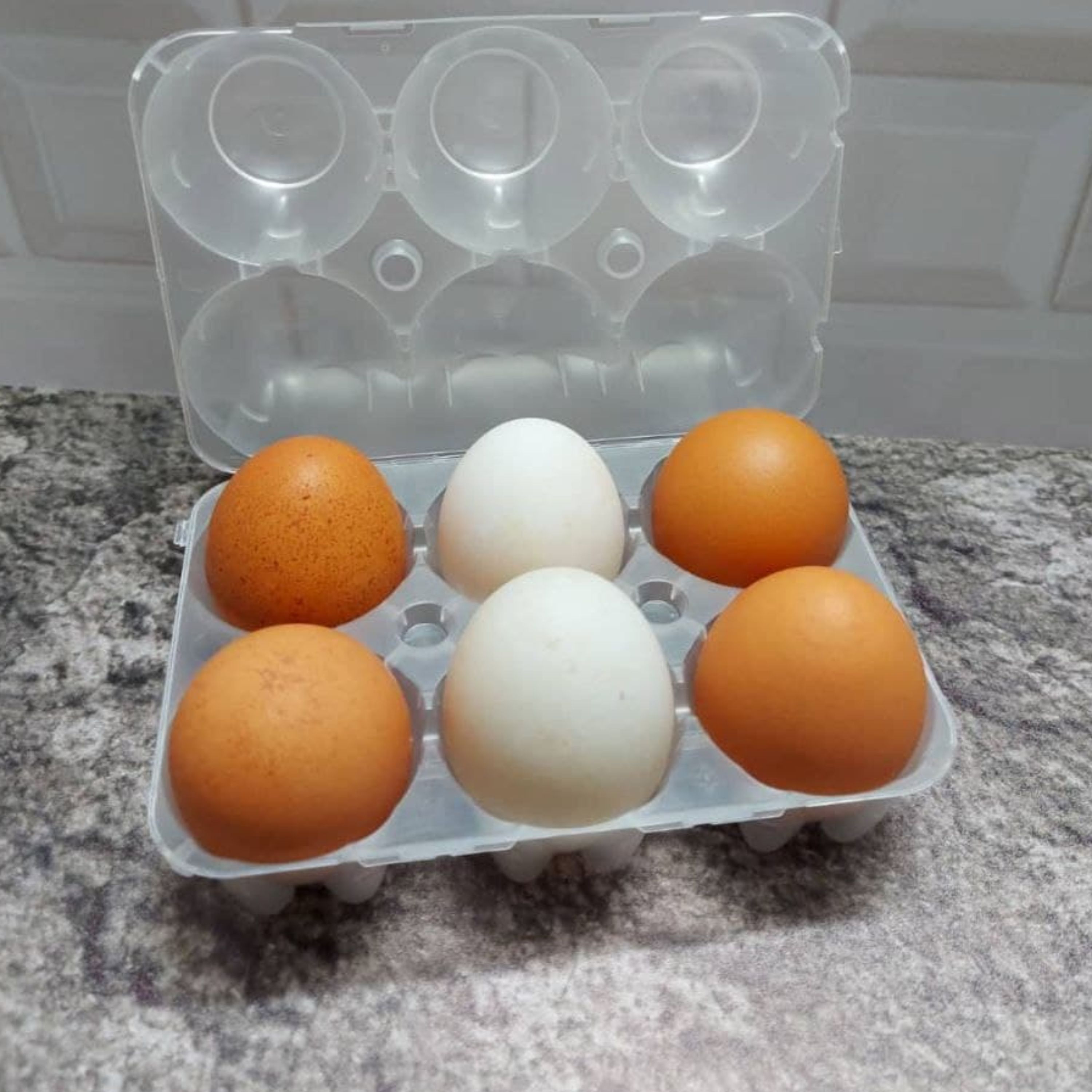 جاتخم مرغی 6عددی قالب یخ و قالب ژله خارجی