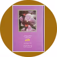 کتاب باران - خرید با تخفیف چهل درصد از کتاب دایره قهوه ای
