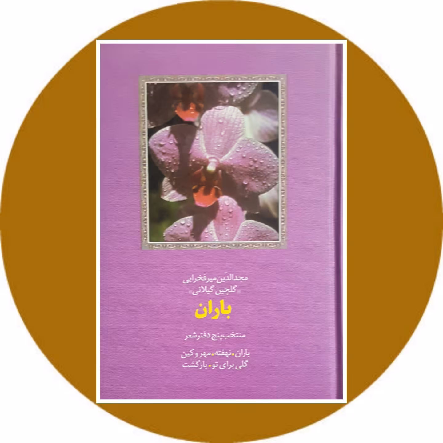 کتاب باران - خرید با تخفیف چهل درصد از کتاب دایره قهوه ای