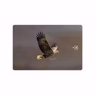 برچسب پوششی ماهوت مدل Eagle مناسب برای تبلت سامسونگ Galaxy Tab S3 9.7 2017 T825