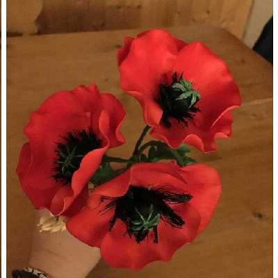 سیلیکون قالب گیری به گز مدل گل شقایق مجموعه 3 عددی