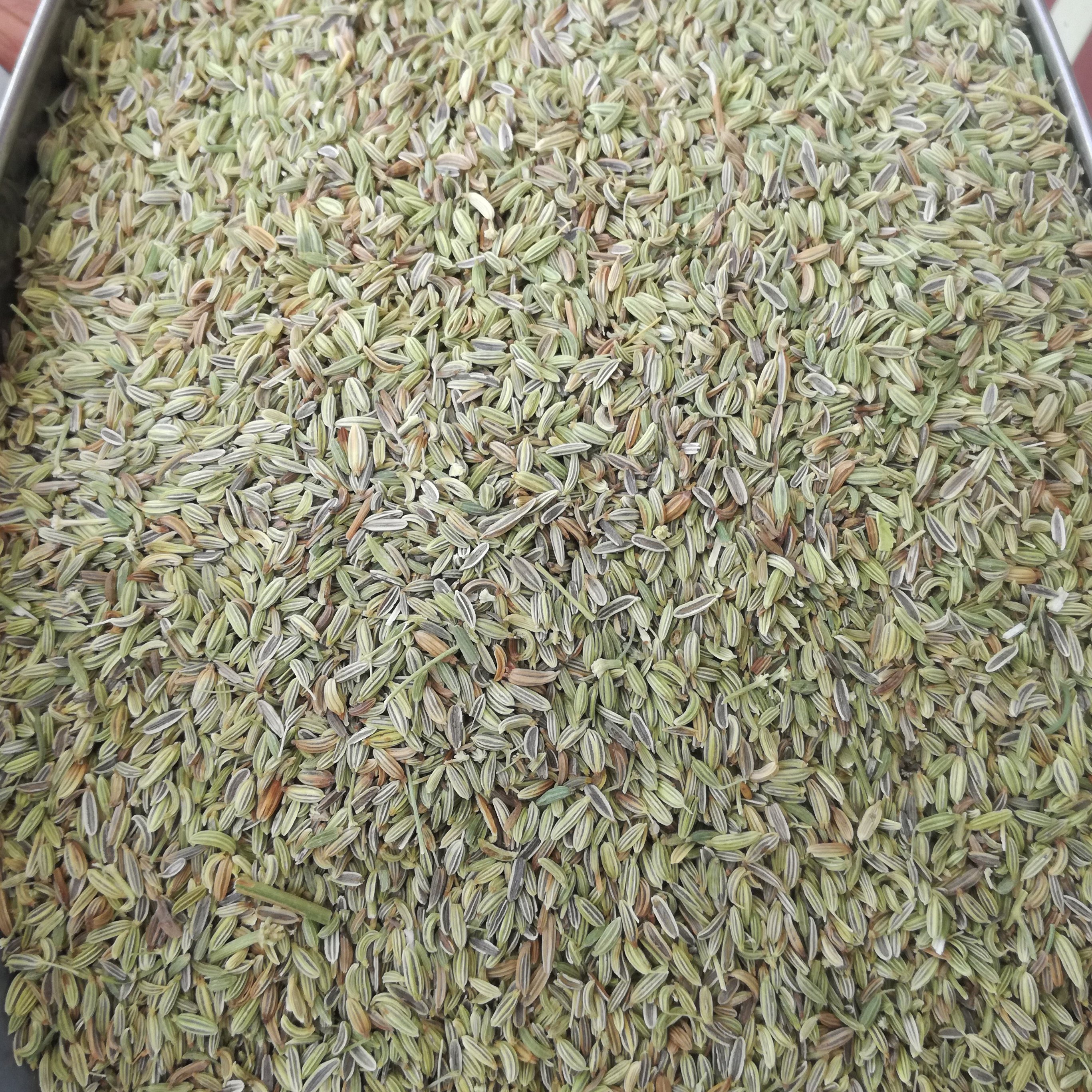 بهترین قیمت رازیانه ( بادیان ) ده کیلو با بهترین کیفیت