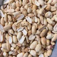 بادام زمینی پوست کنده سایز متوسط تازه  تازه