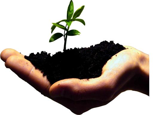 معرفی کسب کار خانگی با خدمات تلخیص
