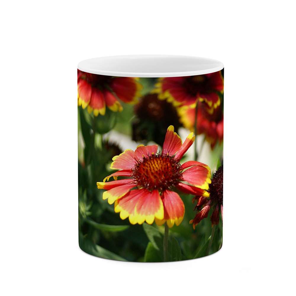 ماگ طرح گل مدل mgs12127