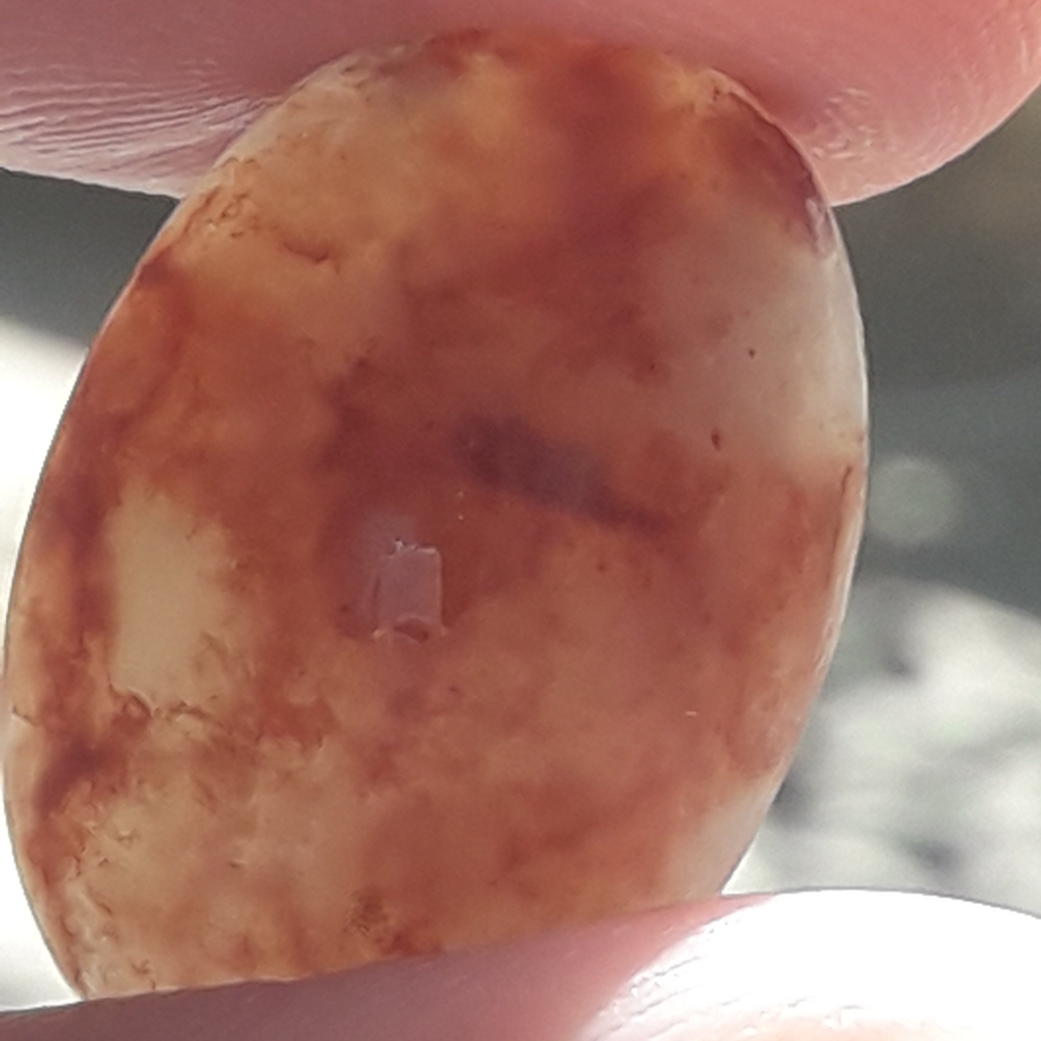 عقیق شجر زعفرانی اصل ایران منطقه قائنات و بیرجند از بهترین نوع است