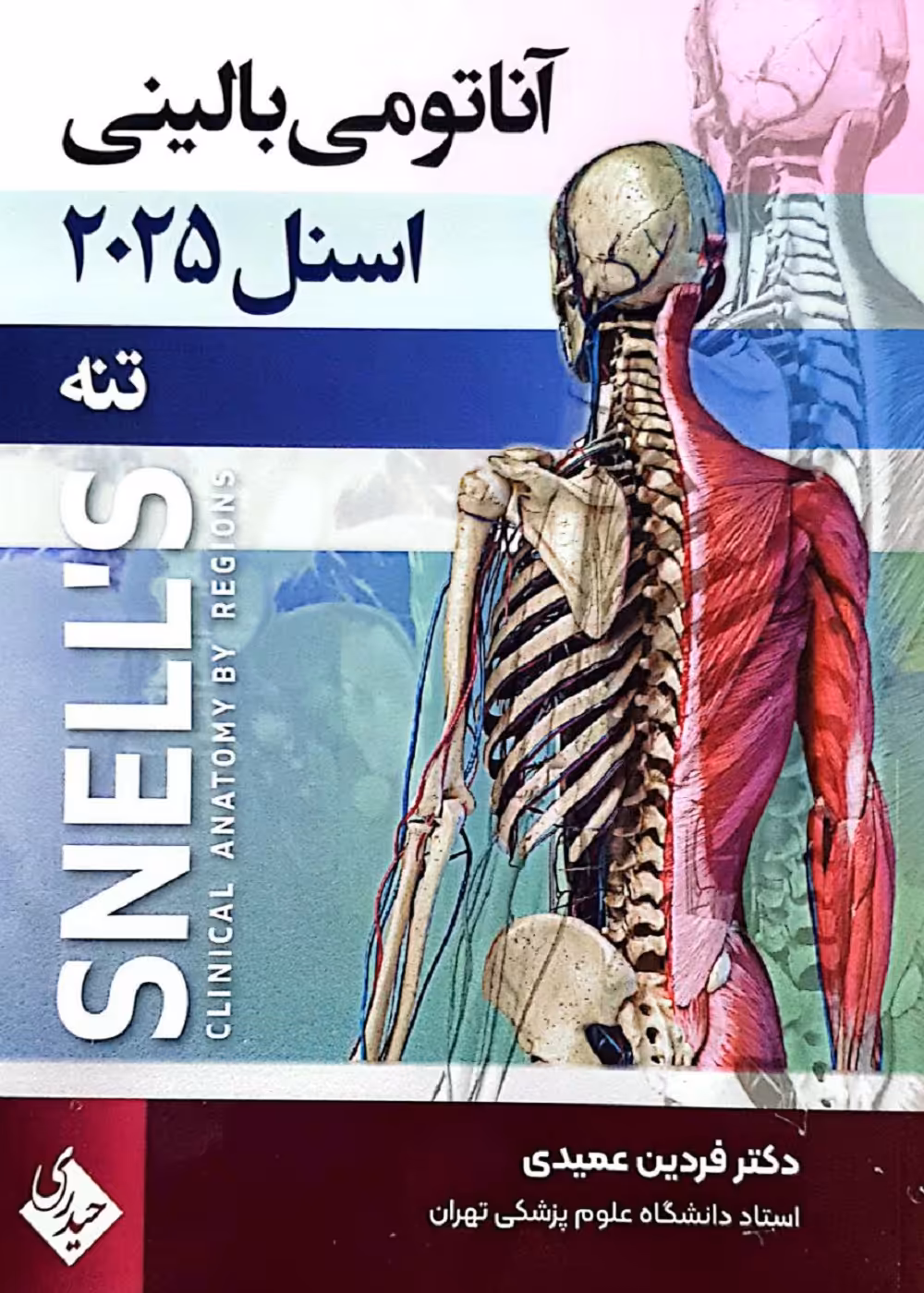 آناتومی بالینی اسنل 2025 تنه حیدری