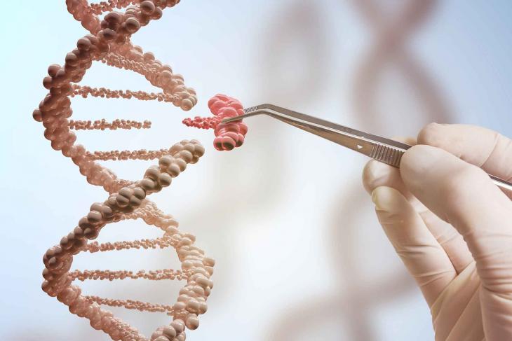 پاورپوینت Studying and Manipulating Genomes مطالعه و دستکاری ژنوم