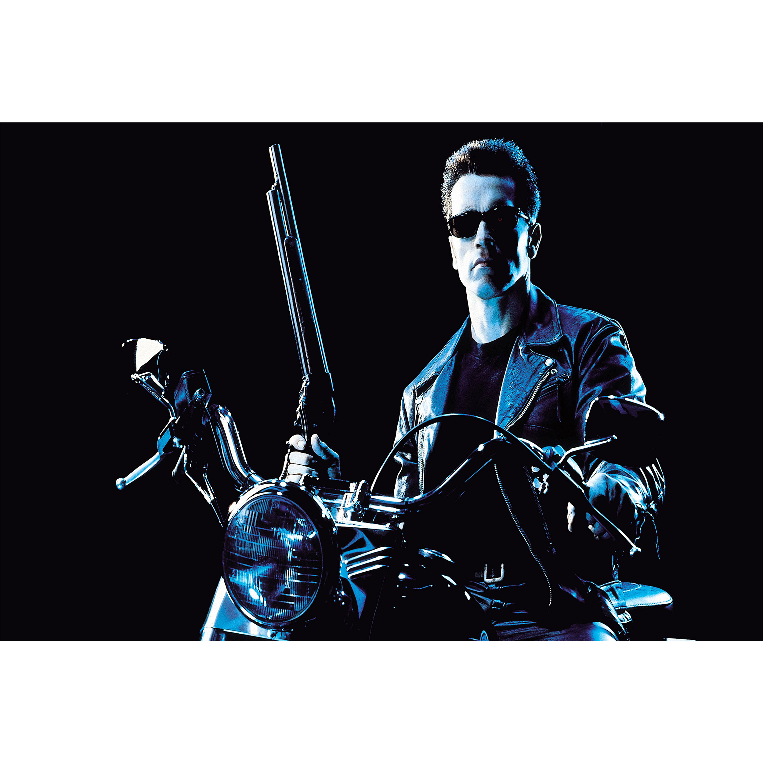 تابلو شاسی مدل آرنولد شوارتزنگر T6013