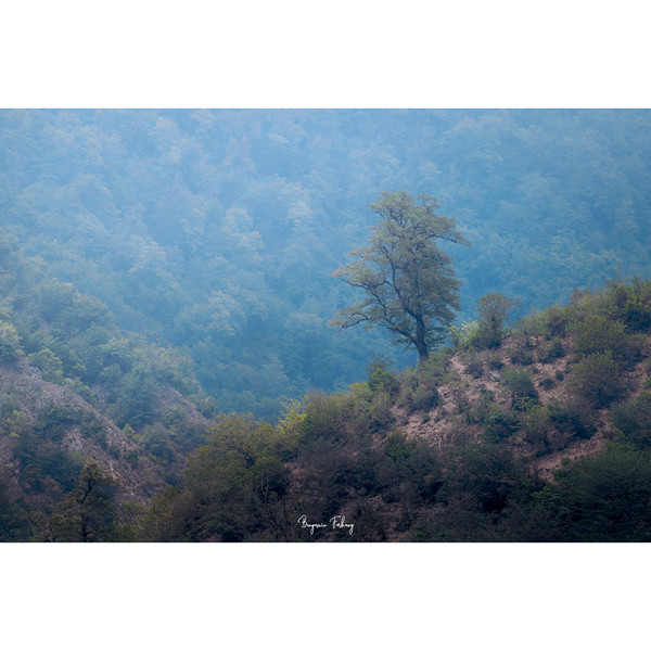 تابلو شاسی مدل 005 | دنیای قاب