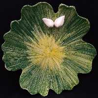 شیرینی خوری سرامیکی هیوا طرح نیلوفر کد 11294816