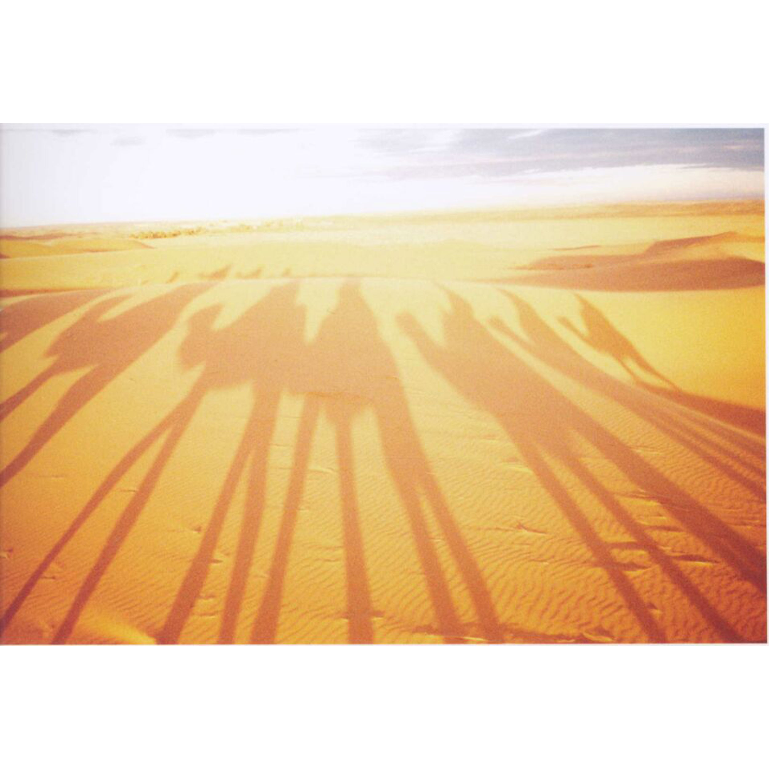 تابلو شاسی مدل بیابان و شتر T6913