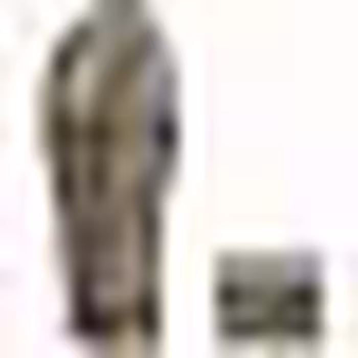 فیگور نکا مدل تابوت مومیایی طرح The Mummy Pack
