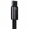 کابل تبدیل USB به USB-C باسئوس مدل Tungsten Gold 100W طول 1 متر