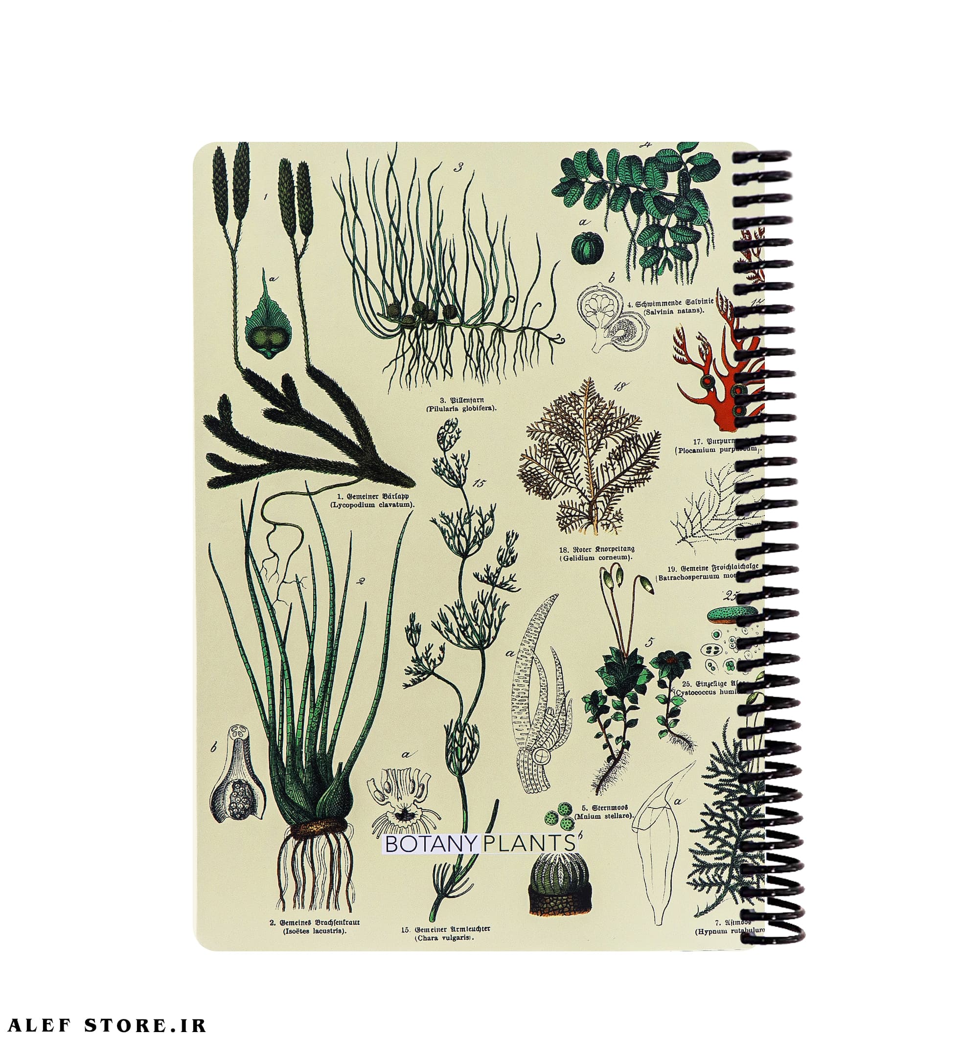 دفتر 100 برگ دات نوت – طرح BOTANY PLANTS
