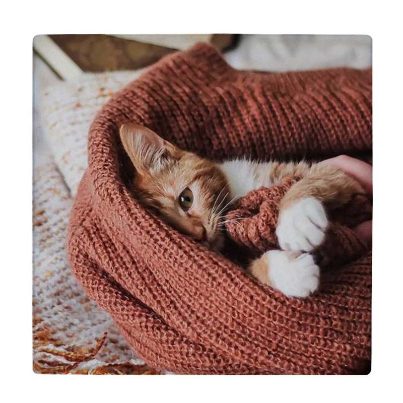 کاشی طرح گربه مدل لوحی BDT228