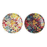 پیکسل خندالو مدل گل گلی کد 22452246 مجموعه 2 عددی