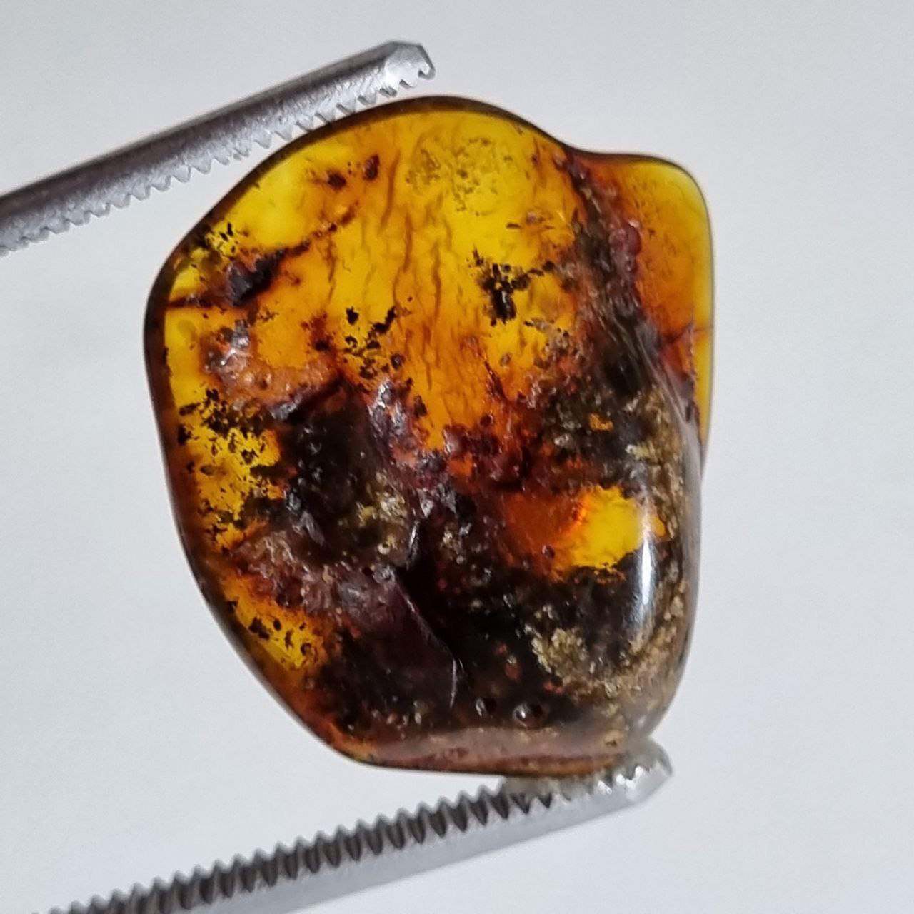 سنگ کهربا راف طبیعی لهستان 8118