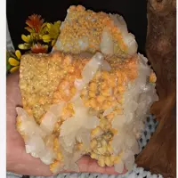 سنگ راف کلکسیونی دولومیت بارو رشدی کلسیت برگی