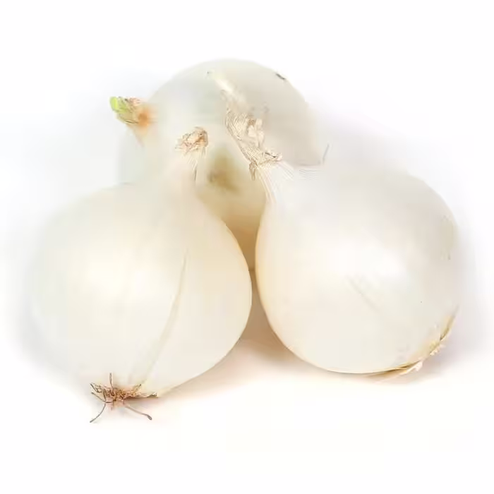 بذر پیاز سفید