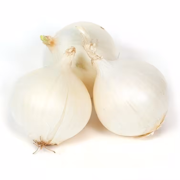 بذر پیاز سفید