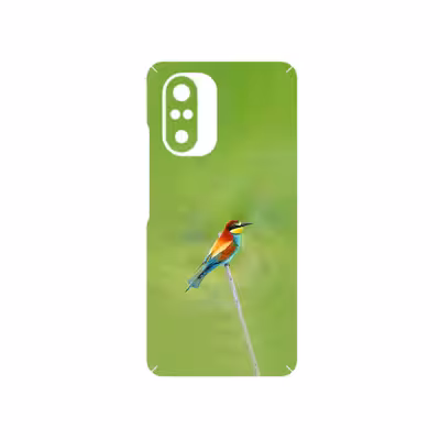 برچسب پوششی ماهوت مدل European bee-eater مناسب برای گوشی موبایل شیائومی Mi 11i