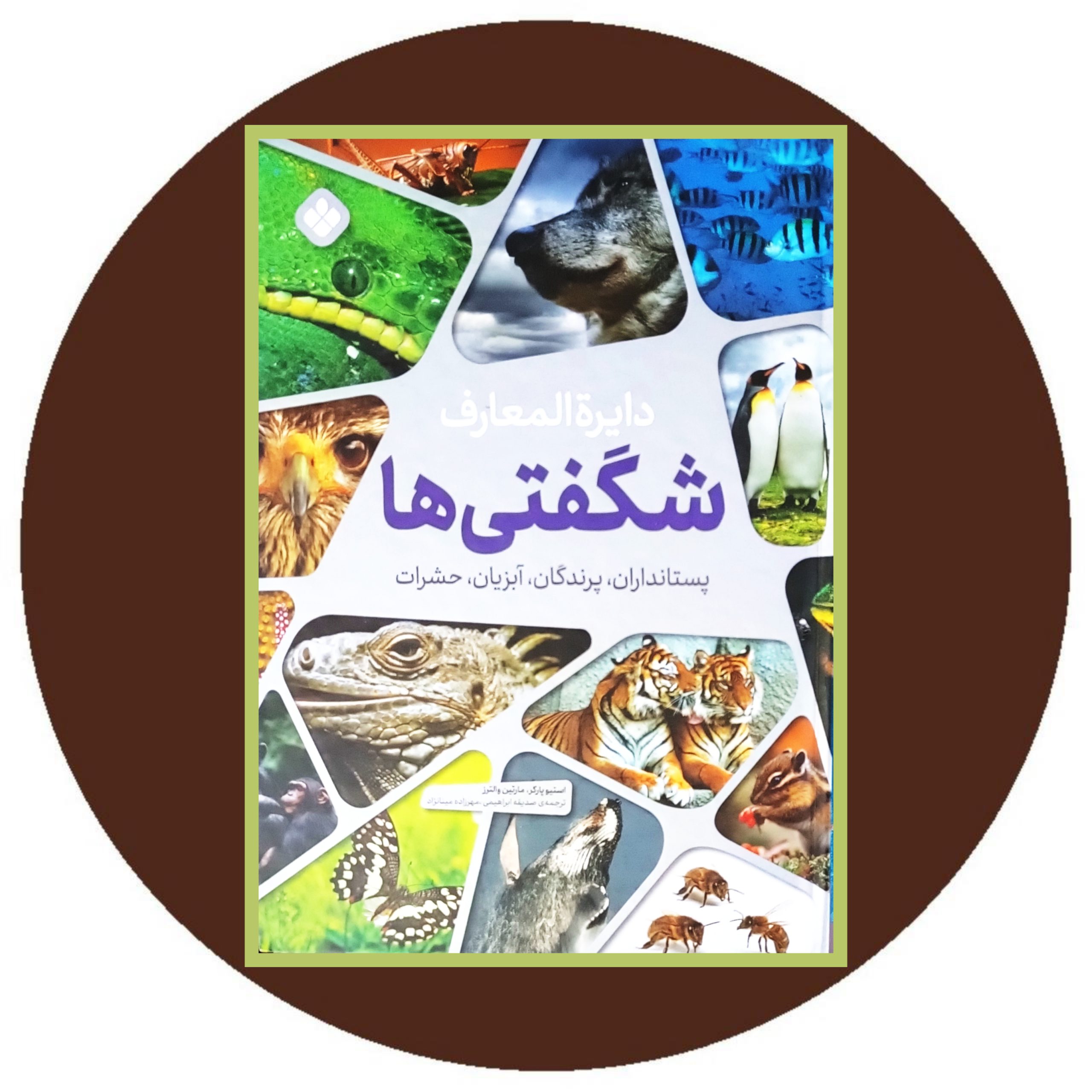 کتاب دایره المعارف شگفتی ها - خرید از کتاب دایره قهوه ای