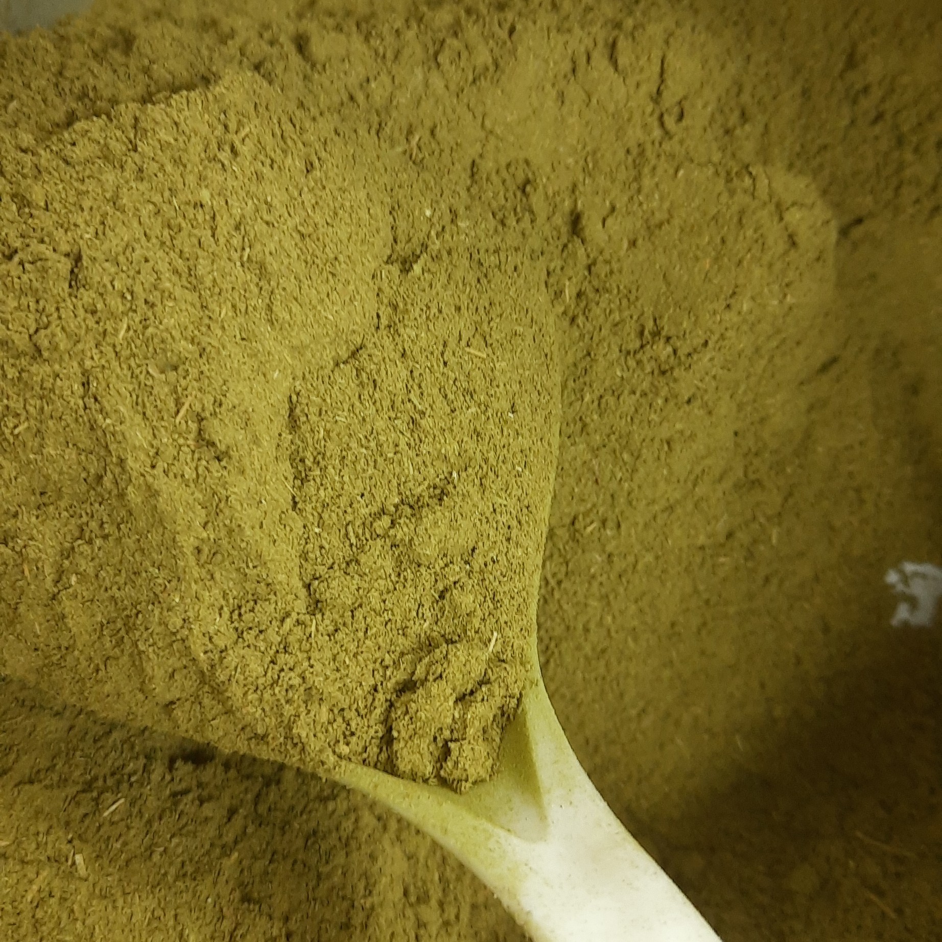 پودر اویشن معمولی