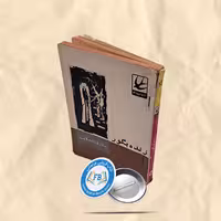 زنده بگور جیبی