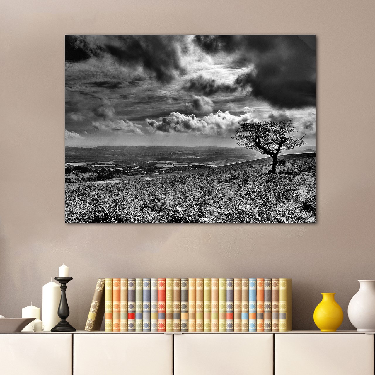 تابلو شاسی آریکان مدل H51