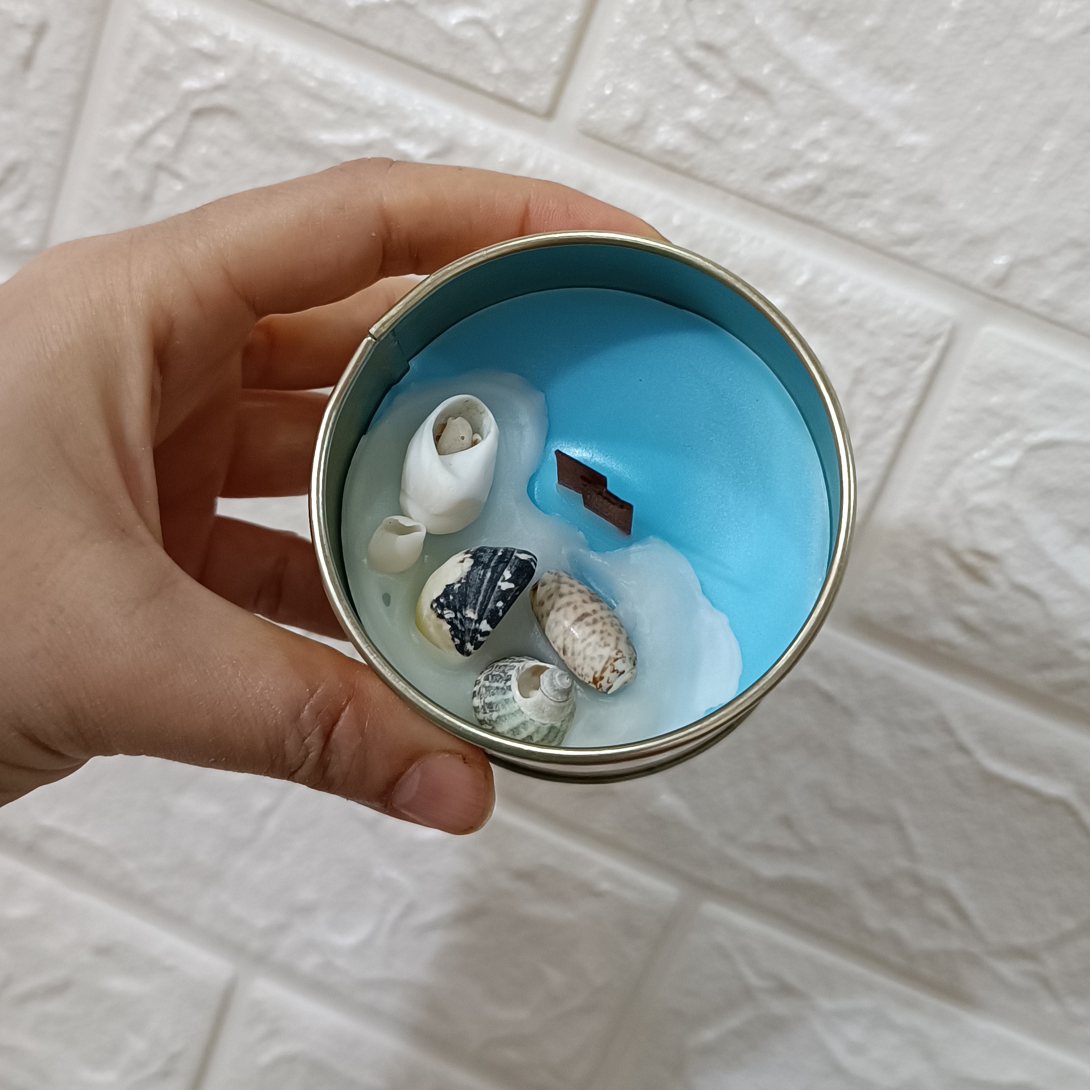 شمع دریایی قوطی