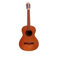 گیتار ژوپیروس مدل S800-GH