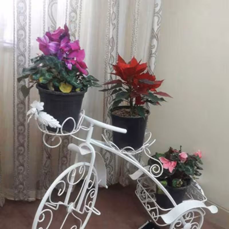 استند گل طرح دوچرخه ویلا سازه ارسال با باربری پس کرایه