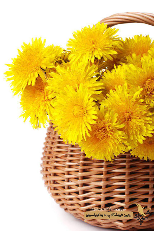 پرده شرشره تصویری گل 1026