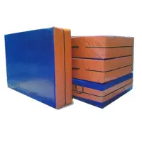 تشک ایمنی ژیمناستیک 2*2 30 سانت