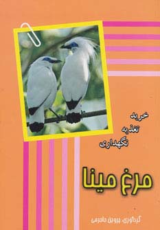 مرغ مینا (خرید،تغذیه،نگهداری) - ناشربوک | خرید آنلاین کتاب