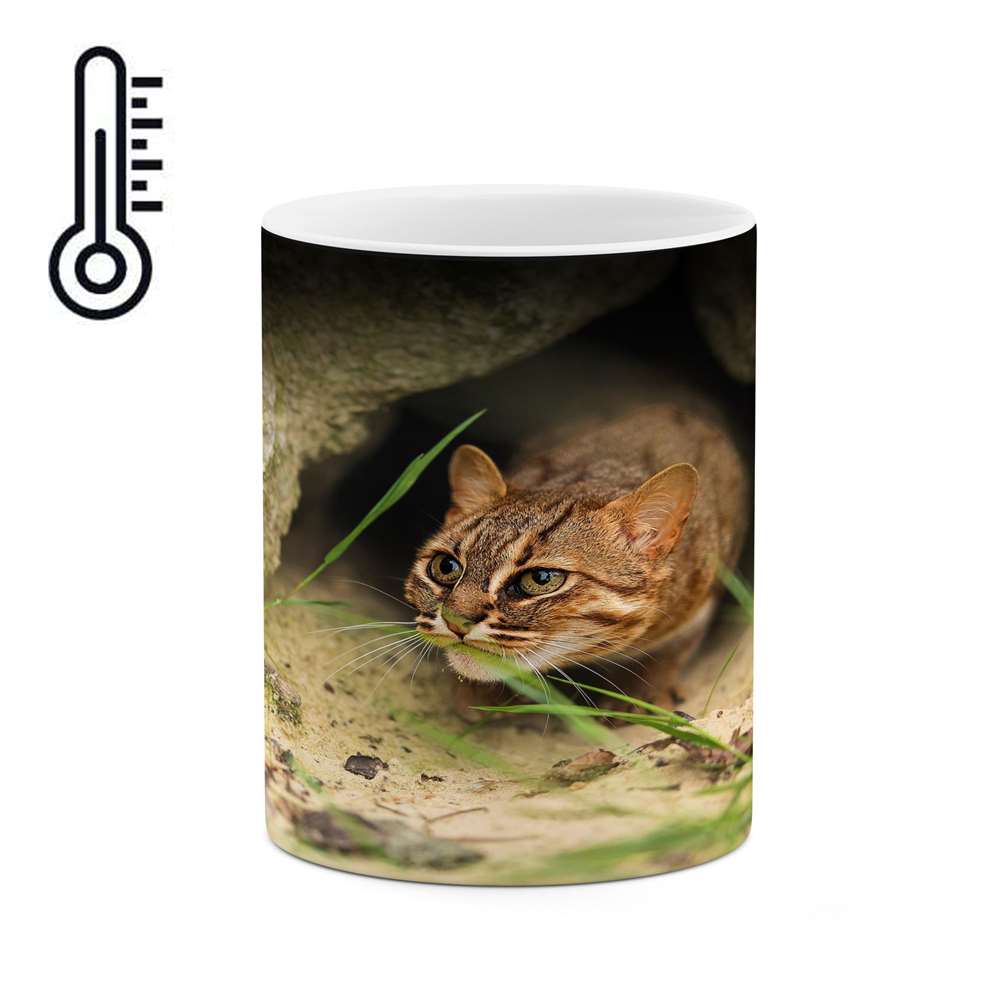 ماگ حرارتی کاکتی طرح گربه مدل mgh16832