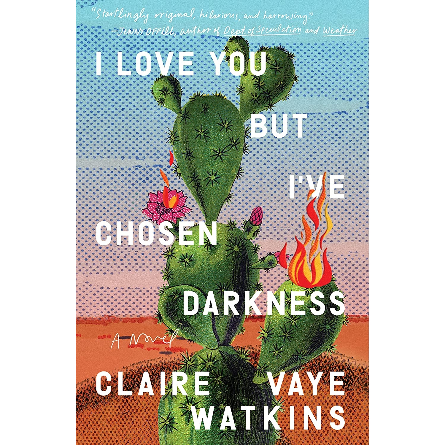 کتاب I Love You but I've Chosen Darkness اثر Claire Vaye Watkins انتشارات Riverhead Books