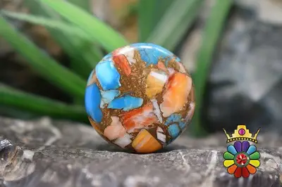 صدف خاردار ترکیبی