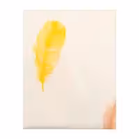 ملحفه آدنو مدل Plume کد IR25 دونفره سایز 160x200 سانتیمتر