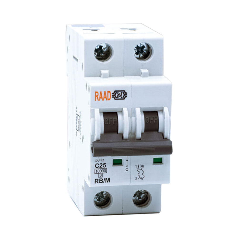 کلید مینیاتوری 2 پل 25 آمپر RB-M-2P-C25-10KA رعد