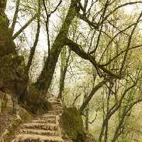 خرید و دانلود عکس Nature-Part-9 کد 37317 | پیک فاکس | Pic Fox