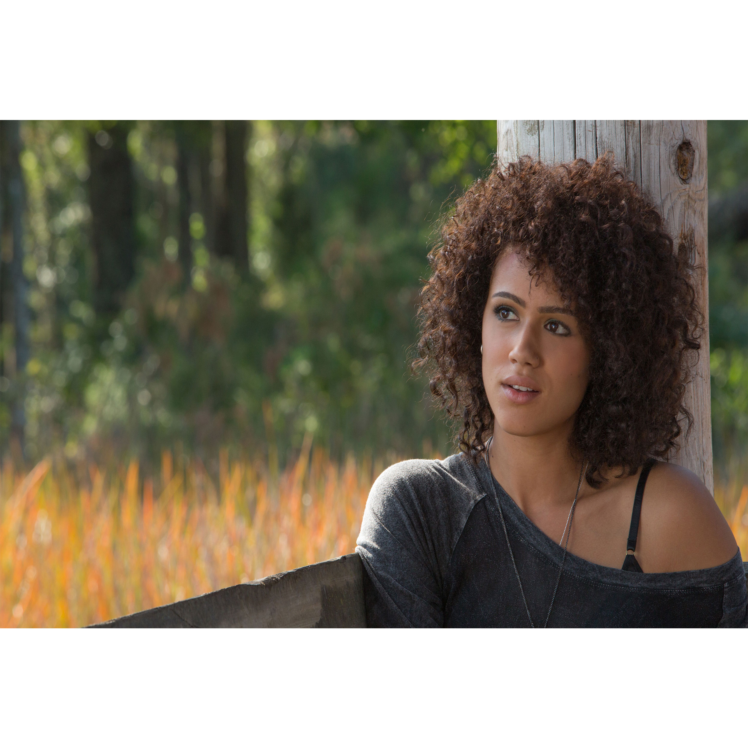 تابلو شاسی مدل بازیگر جوان ناتالی امانوئل T6005