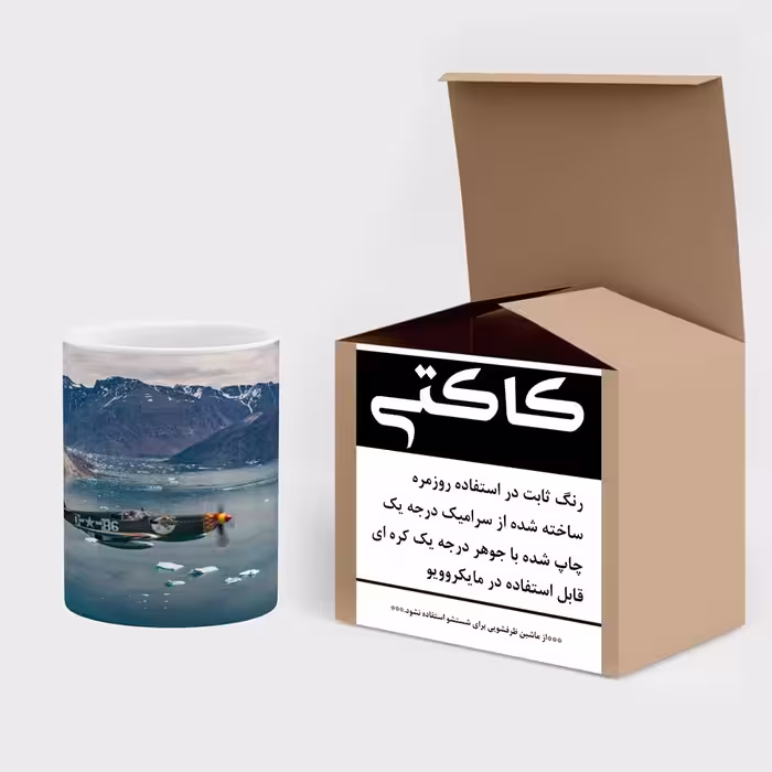 ماگ کاکتی طرح هواپیما مدل mgs14581