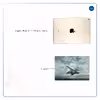 برچسب پوششی ماهوت مدل F-22 Raptor مناسب برای تبلت اپل iPad Air 2 2014 A1567