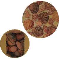 بشقاب دیوارکوب سفالی مدل سنگ و صدف مجموعه 2 عددی 